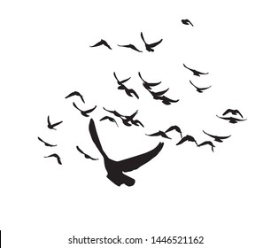 a flock of flying birds. Vector illustration