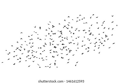 A flock of flying birds. Vector illustration