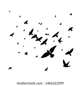 A flock of flying birds. Vector illustration