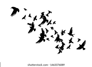 A flock of flying birds. Vector illustration