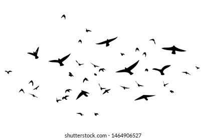 Flock Flying Birds Vector Illustration Stock Vector (Royalty Free ...