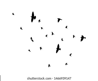 A flock of flying birds. Vector illustration