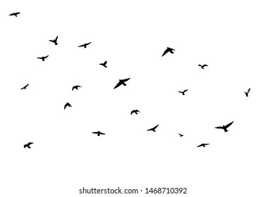 A flock of flying birds. Vector illustration