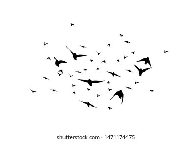 A flock of flying birds. Vector illustration