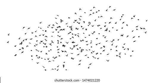 A flock of flying birds. Vector illustration