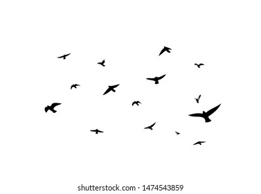 A flock of flying birds. Vector illustration