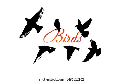 A flock of flying birds. Vector illustration