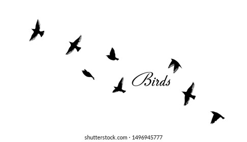 A flock of flying birds. Vector illustration