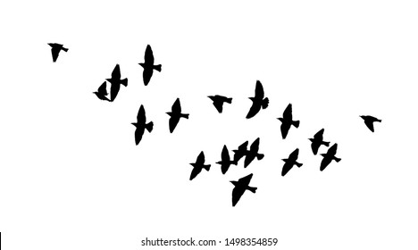 A flock flying birds  Vector illustration