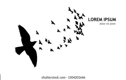 a flock of flying birds. Vector illustration