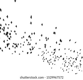 A flock of flying birds. Vector illustration