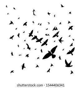 A flock of flying birds. Vector illustration