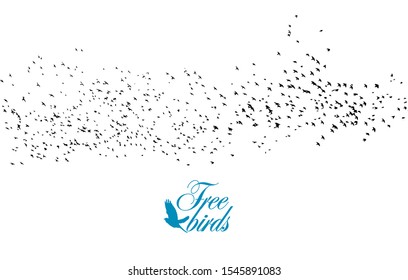 A flock of flying birds. Vector illustration