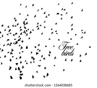 A flock of flying birds. Vector illustration