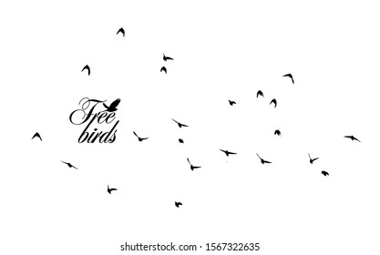 A flock of flying birds. Vector illustration