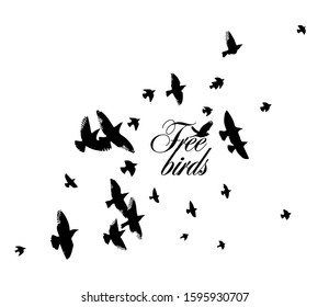 A flock of flying birds. Vector illustration