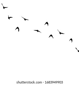 A flock of flying birds. Vector illustration