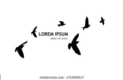 A flock of flying birds. Vector illustration