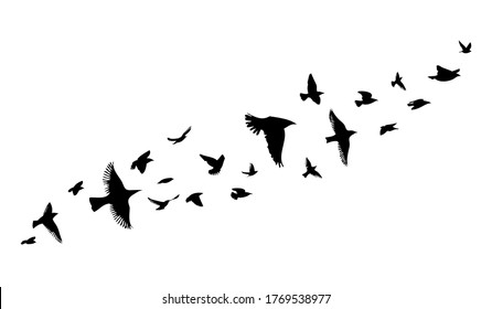 A flock of flying birds. Vector illustration