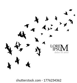 A flock of flying birds. Vector illustration