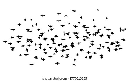Un rebaño de pájaros voladores. Ilustración del vector
