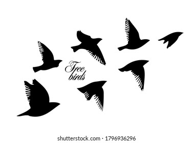 A flock of flying birds. Vector illustration