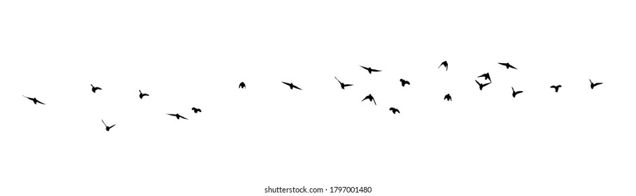 A flock of flying birds. Vector illustration