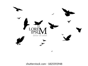 A flock of flying birds. Vector illustration