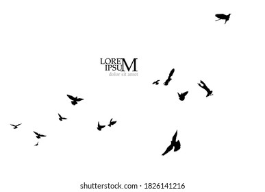 A flock of flying birds. Vector illustration