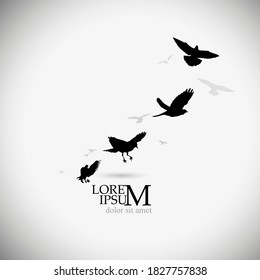 A flock of flying birds. Vector illustration