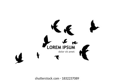 A flock of flying birds. Vector illustration