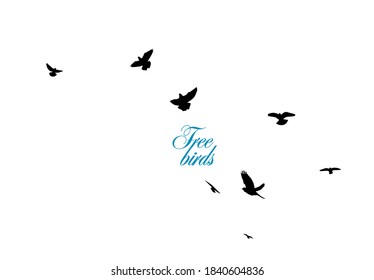 A flock of flying birds. Vector illustration