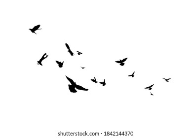 A flock of flying birds. Vector illustration