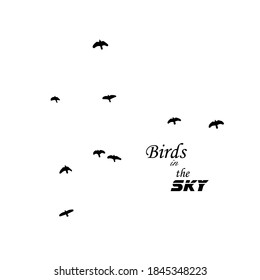 Eine Herde fliegender Vögel. Vektorgrafik