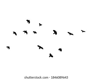 A flock of flying birds. Vector illustration