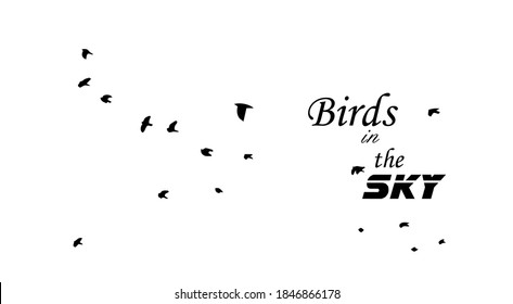 A flock of flying birds. Vector illustration