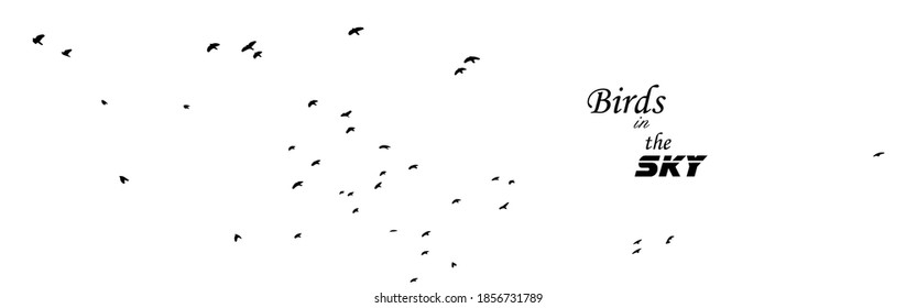 A flock of flying birds. Vector illustration