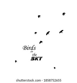 A flock of flying birds. Vector illustration