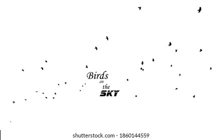 A flock of flying birds. Vector illustration