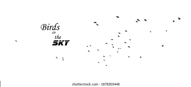 A flock of flying birds. Vector illustration