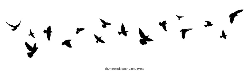 A flock of flying birds. Vector illustration