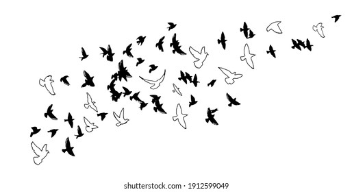 flying bird outline