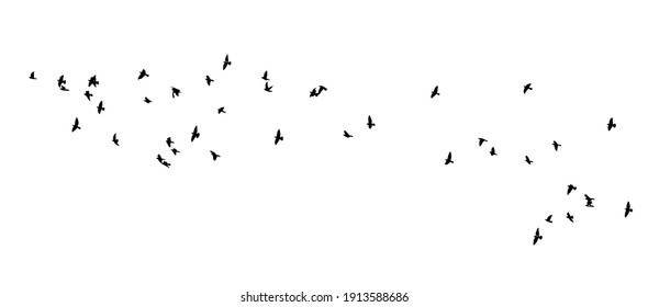 A flock flying birds  Vector illustration