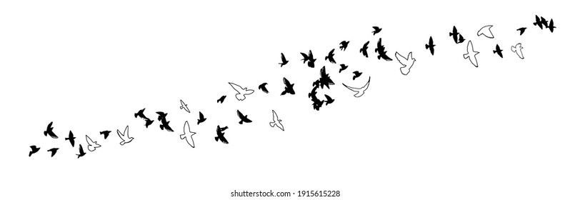 A flock of flying birds. Vector illustration