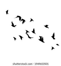 A flock of flying birds. Vector illustration