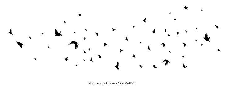 A flock of flying birds. Vector illustration