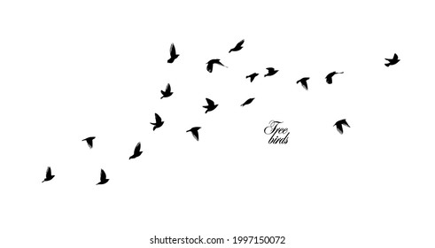 A flock of flying birds. Vector illustration