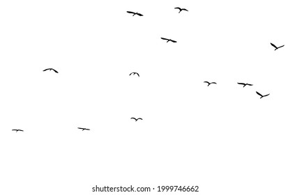 A flock of flying birds. Vector illustration