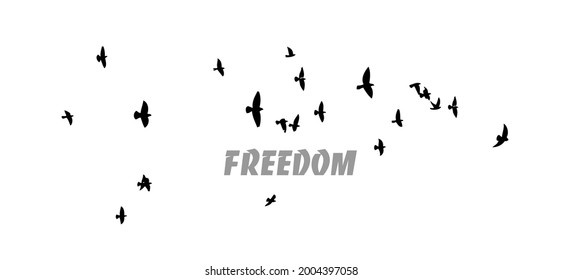 Eine Herde fliegender Vögel. Vektorgrafik