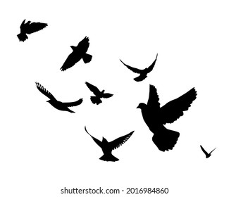 A flock of flying birds. Vector illustration